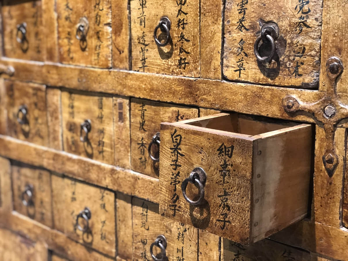 中草药——蝙蝠